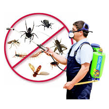 Effective Pest Control: How To Keep Your Home Bug-Free