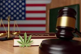 Simple Steps To Find An Easy Cannabis Lawyer