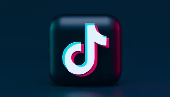 Snaptik Vietnam: Ultimate Guide For Tiktok Success